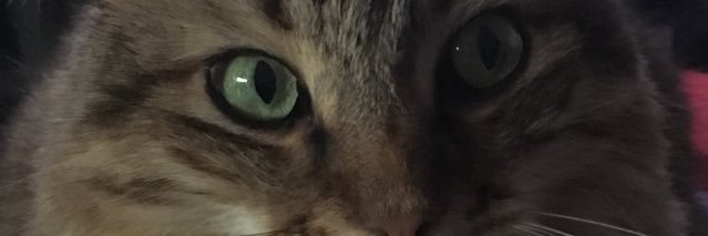 nanoux2010's profile banner image