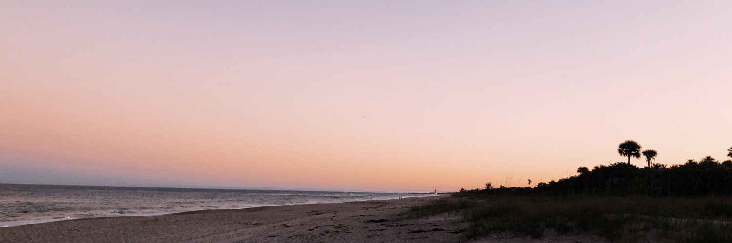 silvanarose_'s profile banner image