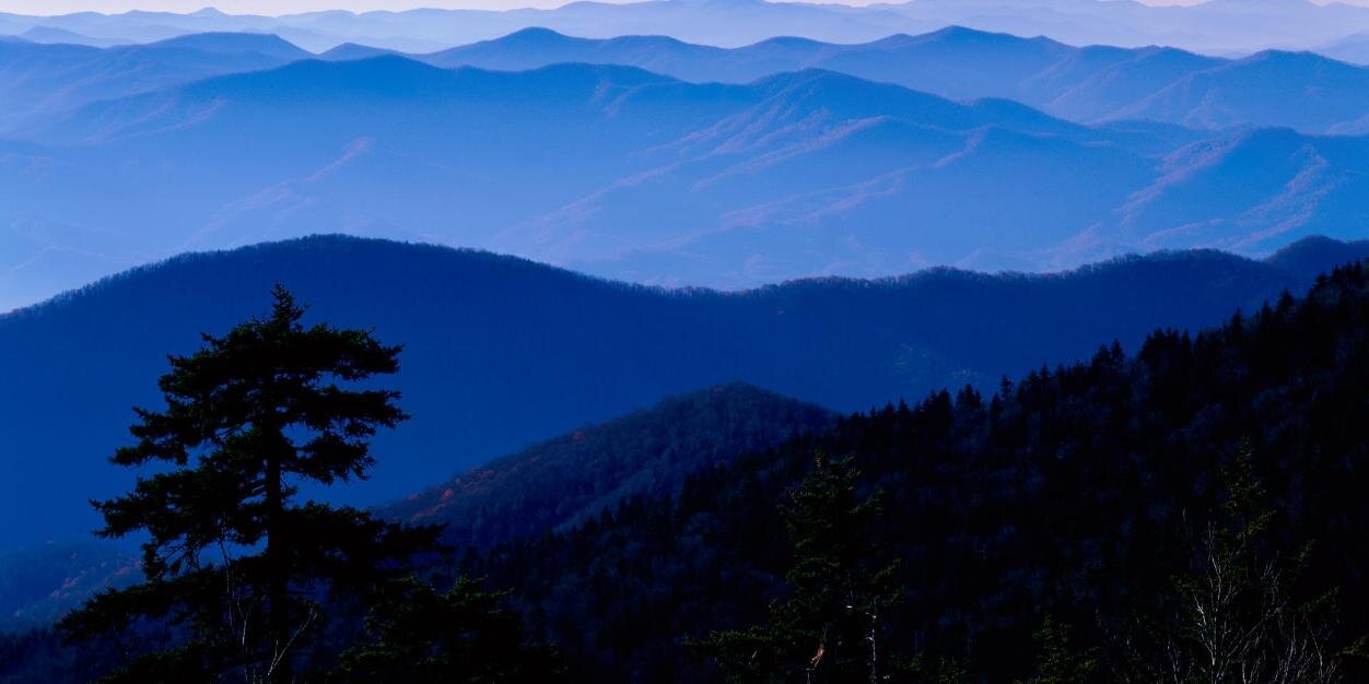 Country Music Nation banner