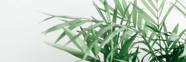 caseysimbulan's profile banner image