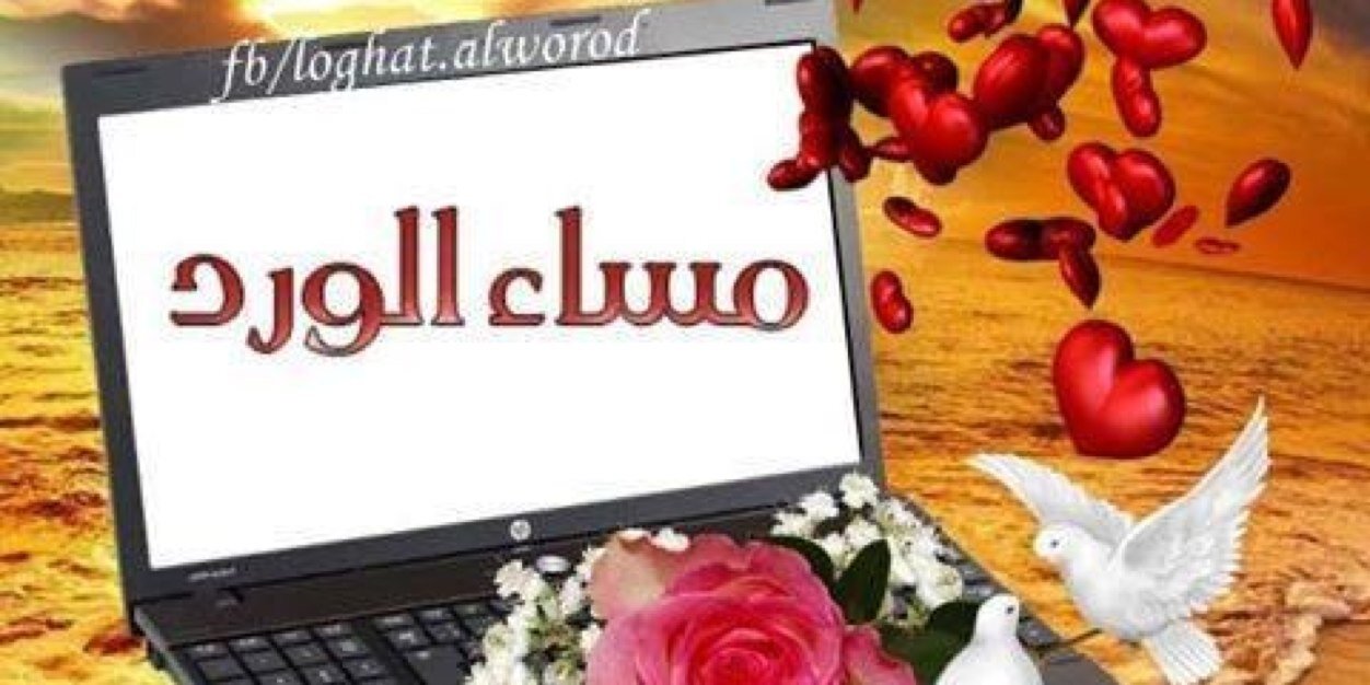 kald12456's profile banner image