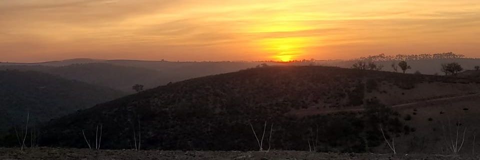 kabbaji's profile banner image