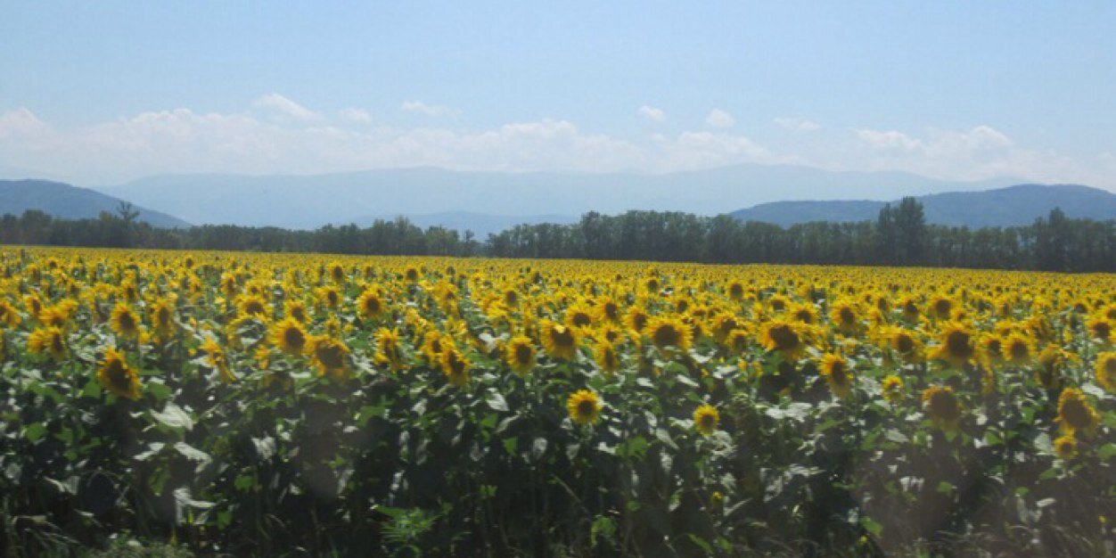 FamilyhouseinFr's profile banner image