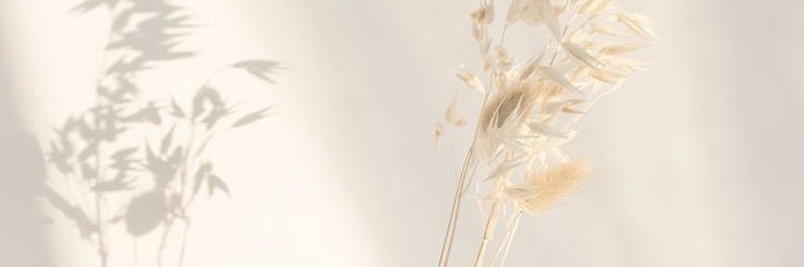camilaboratto_'s profile banner image