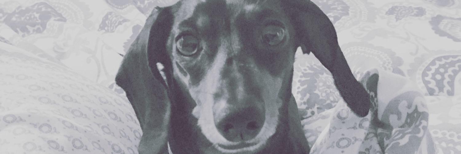 Brandi Proctor banner