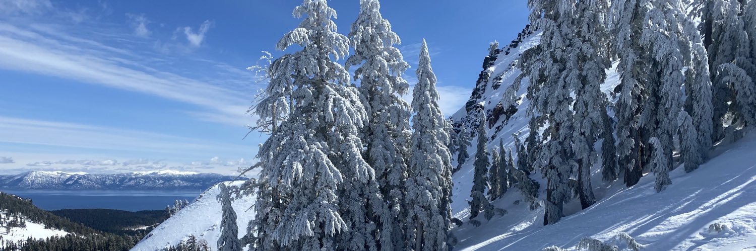 Heather Friedland banner