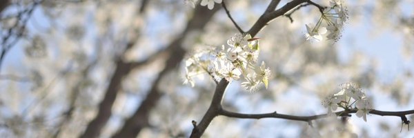 PRMullen Profile Banner