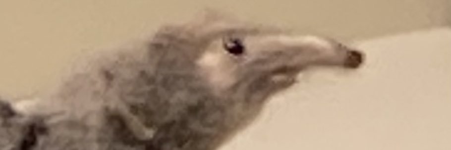 NathanRJ1's profile banner image