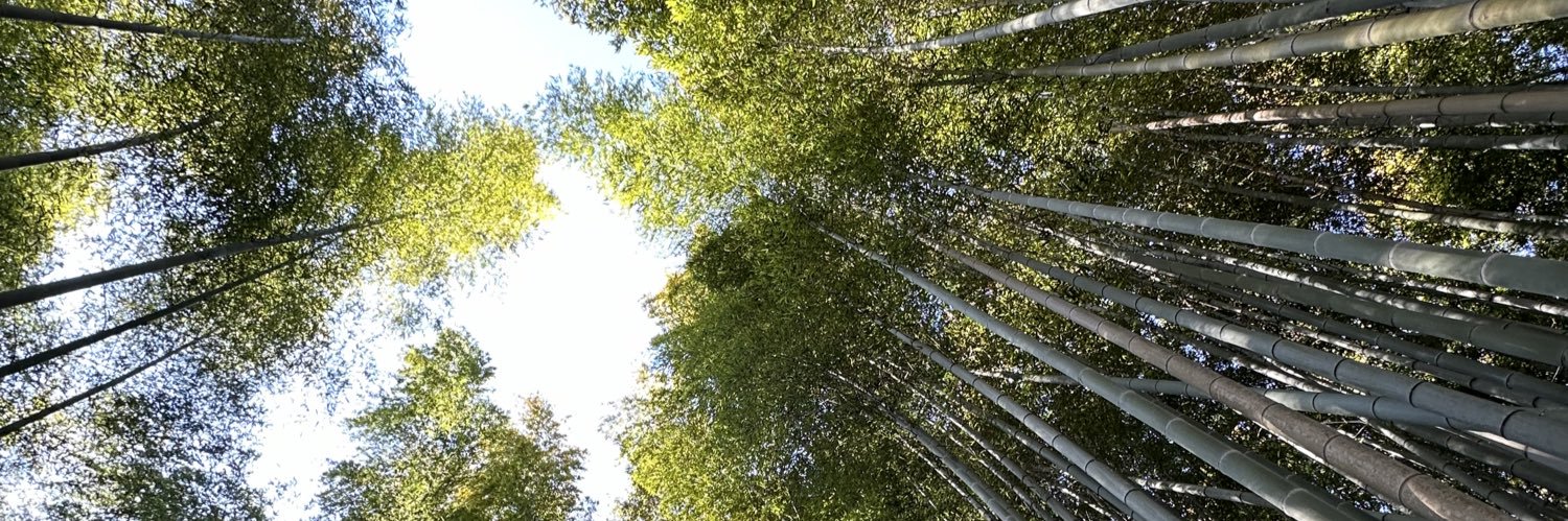 JSuett's profile banner image
