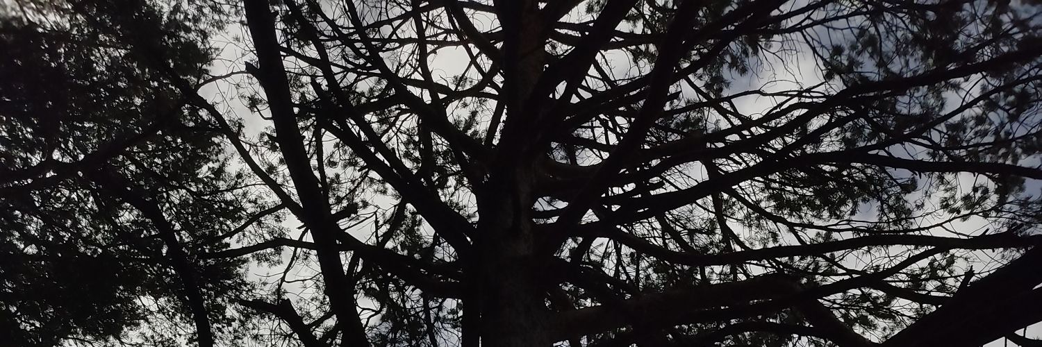 txulann's profile banner image
