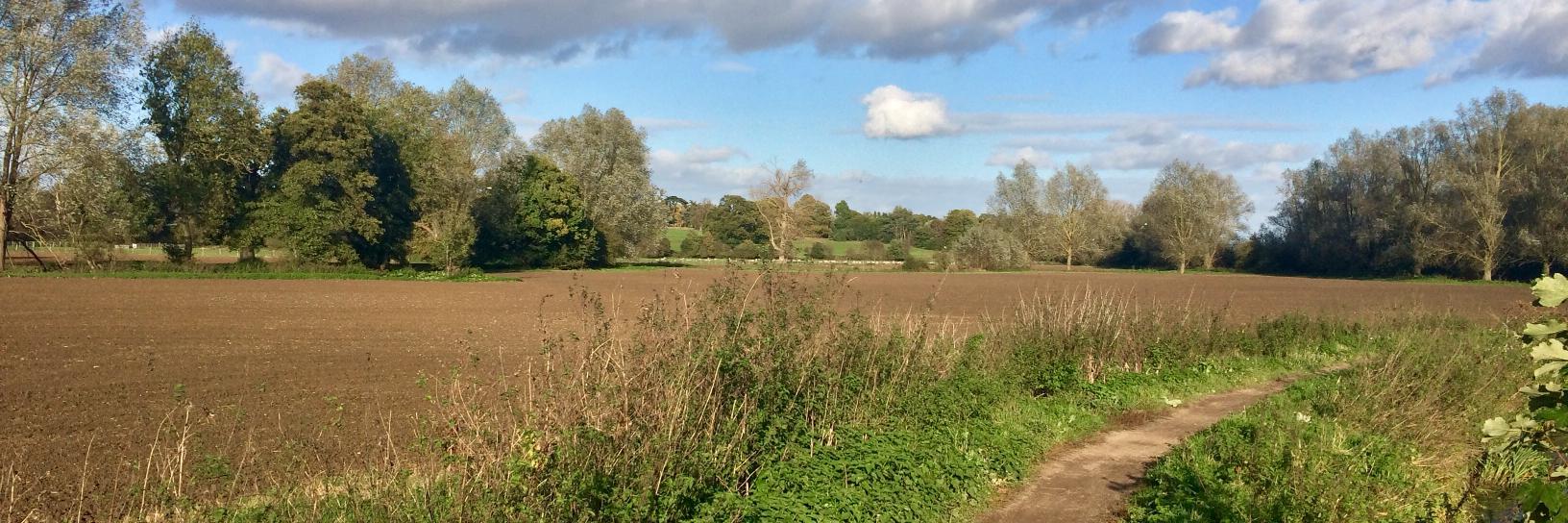EppingLynn's profile banner image