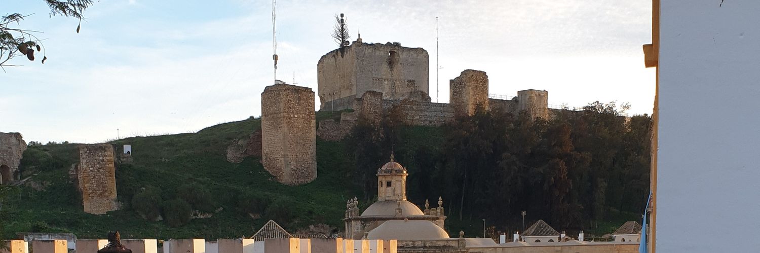 Fini Alvarez Segovia banner