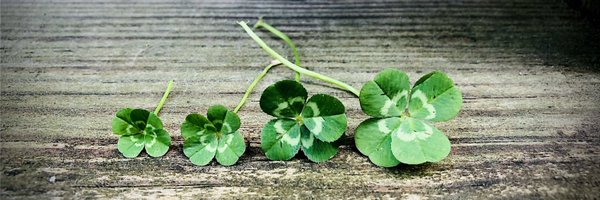 Cherish9 Profile Banner