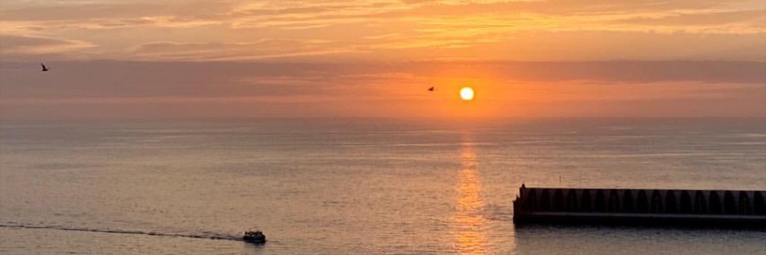 Dani Enklenke🇮🇨 banner