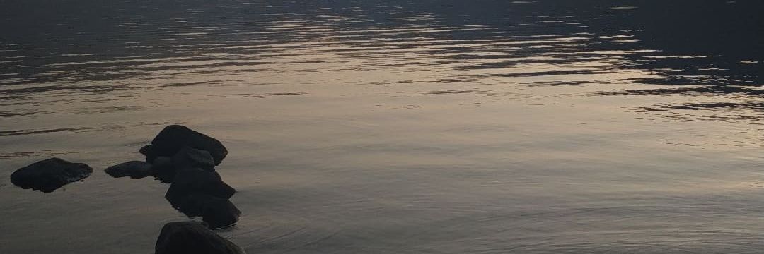 AROA_fernandezM's profile banner image