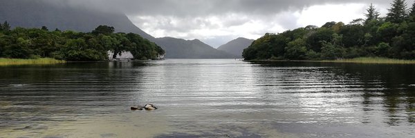 moi_clement Profile Banner