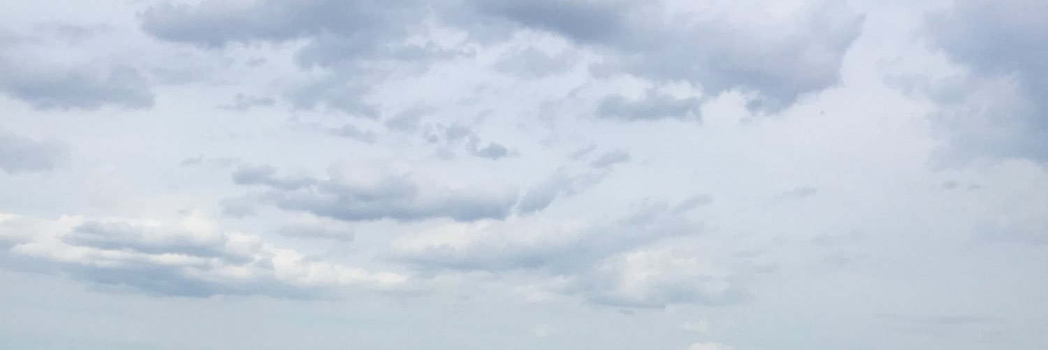 Kayla_Labonte's profile banner image