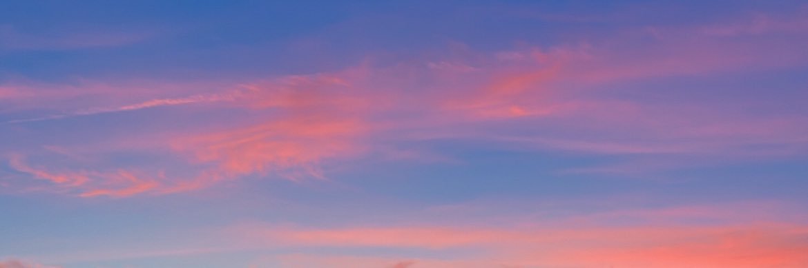 AngelBrasy's profile banner image