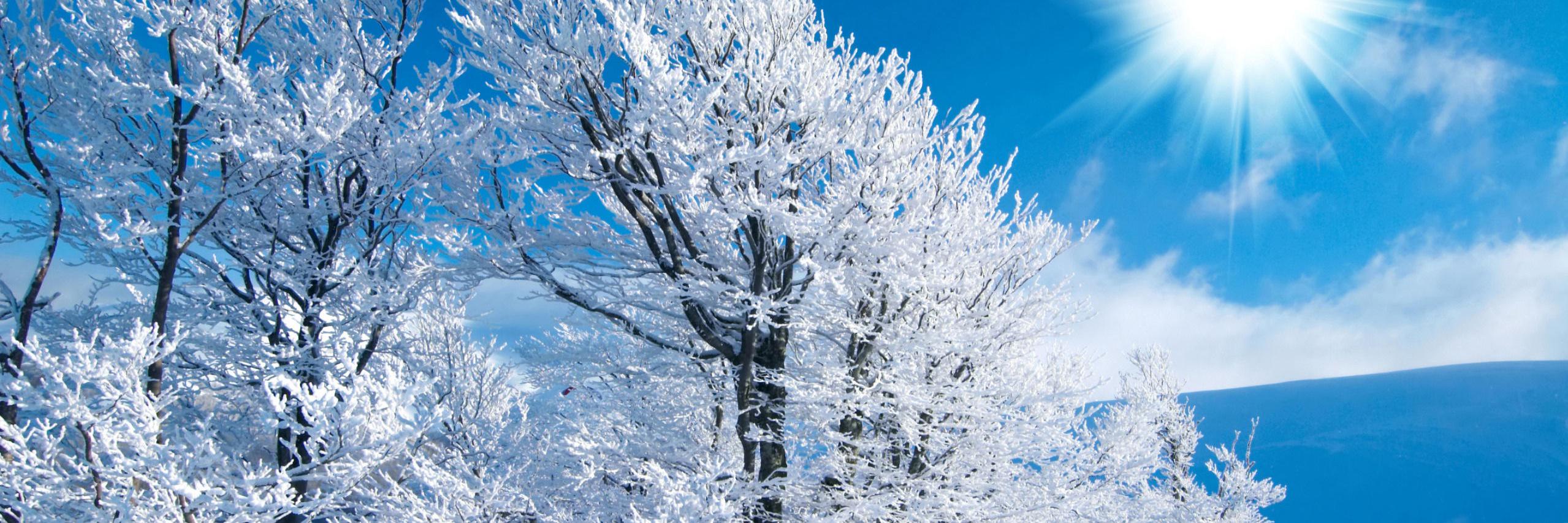 Deborah Fassi banner