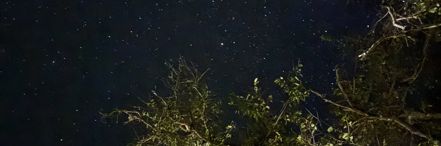 llopez103's profile banner image