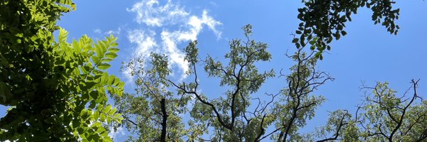 CK_Herman Profile Banner