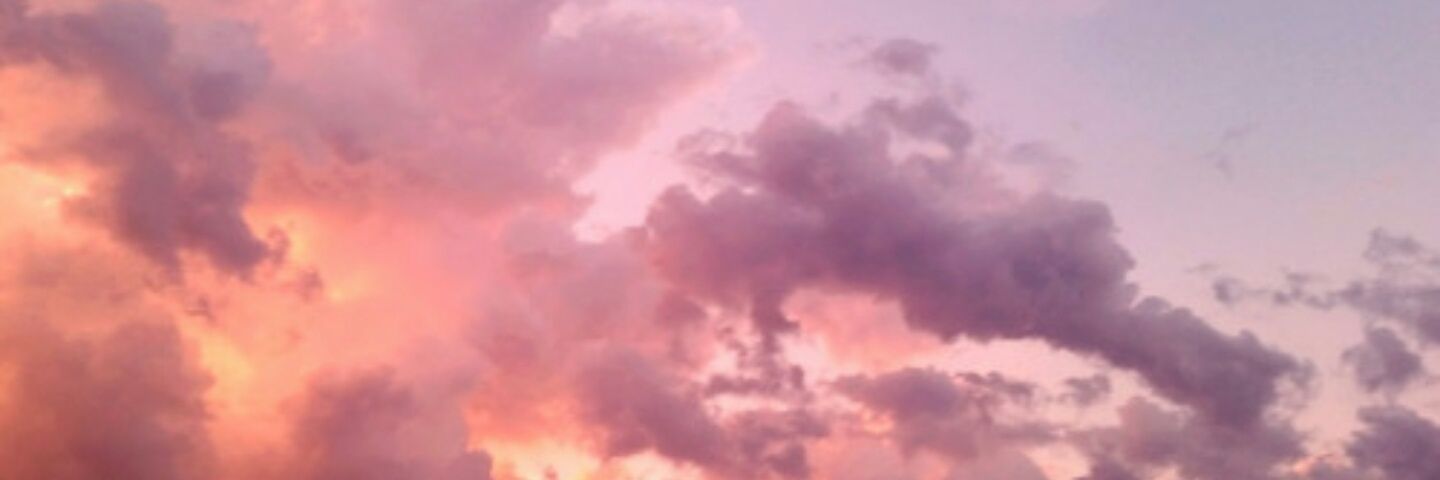 terralynnn's profile banner image