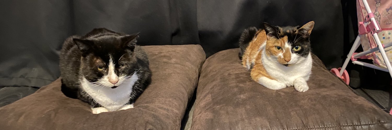 MrMBacon's profile banner image