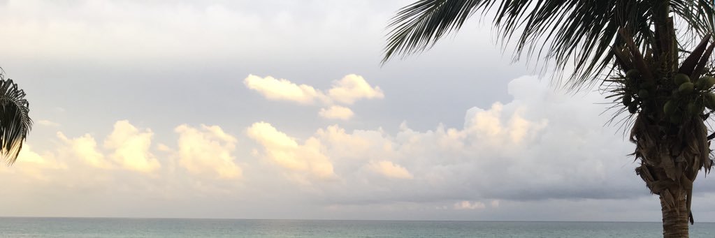 emilylaing16's profile banner image