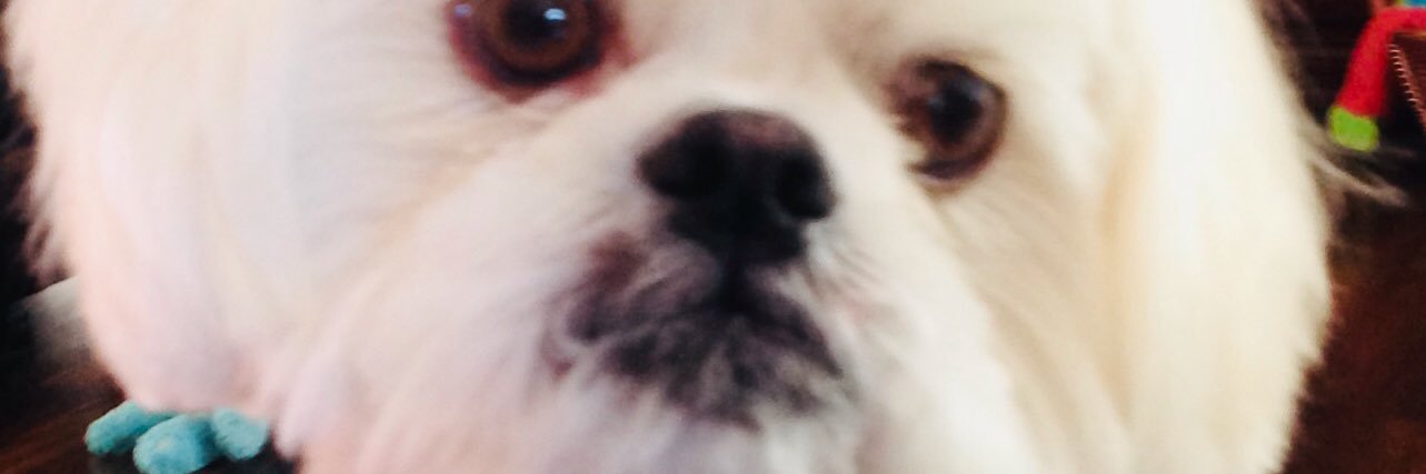 Toots4752's profile banner image