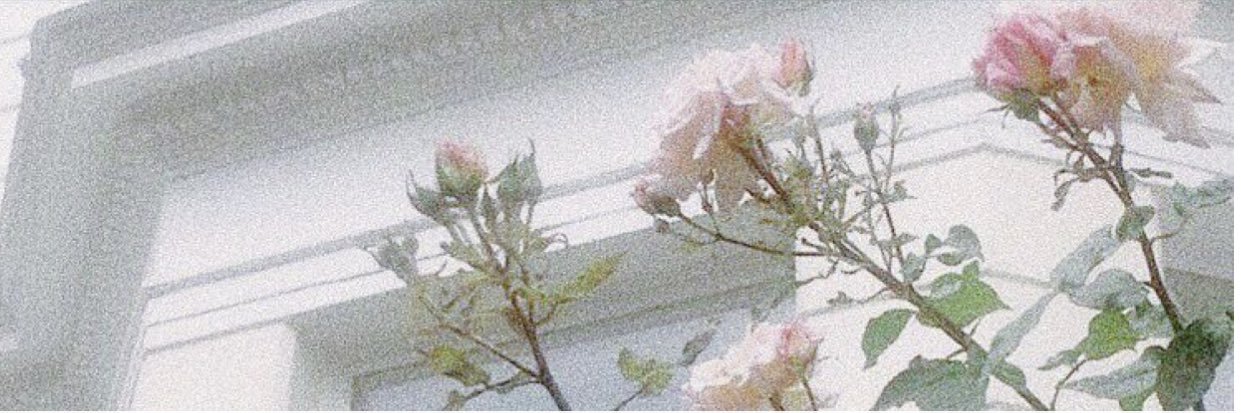 lorenaramca's profile banner image