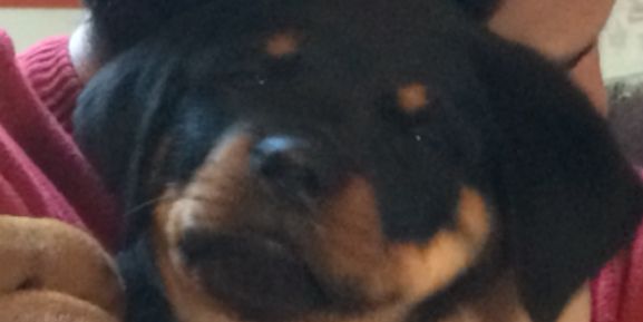 KevinWhoItBe's profile banner image