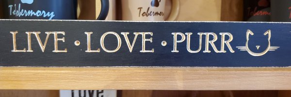 the_kitn Profile Banner