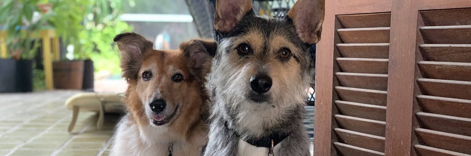 Chris Bennett banner