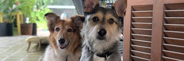 telecuda Profile Banner