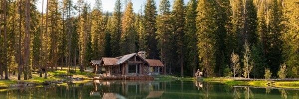 NotTheCabin's profile banner image