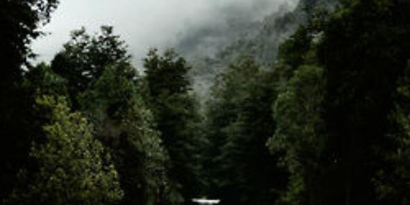 ? banner