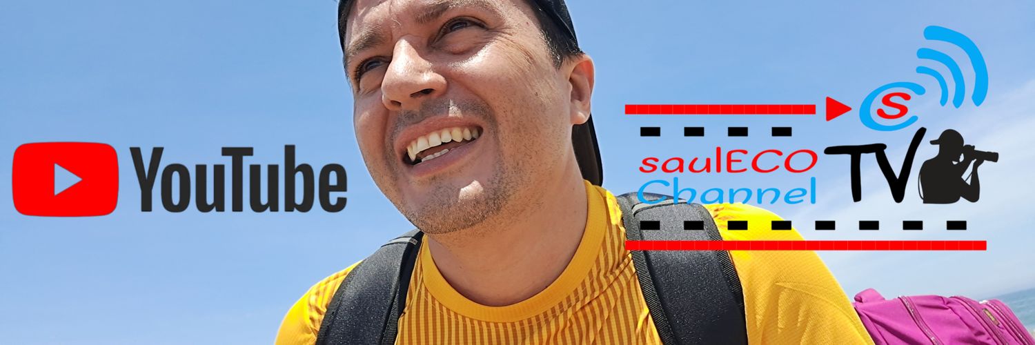 saullovera's profile banner image