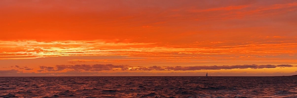 Tonio banner