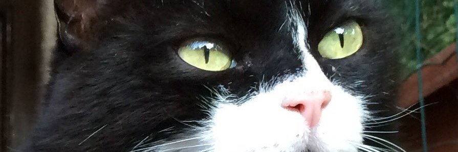 simonesocial23's profile banner image