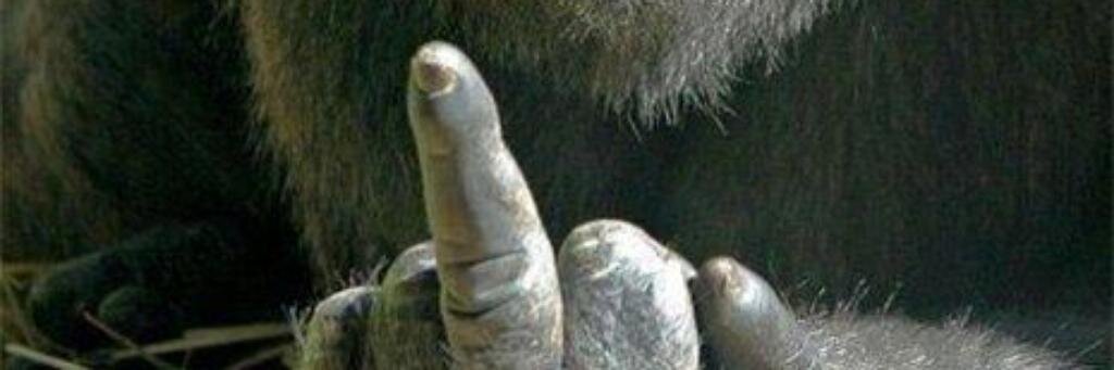 Gaby_low86's profile banner image