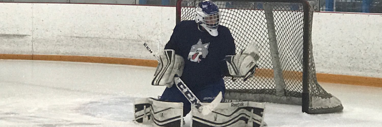 Stopapuck's profile banner image