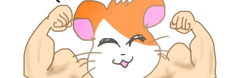 masa7ki's profile banner image