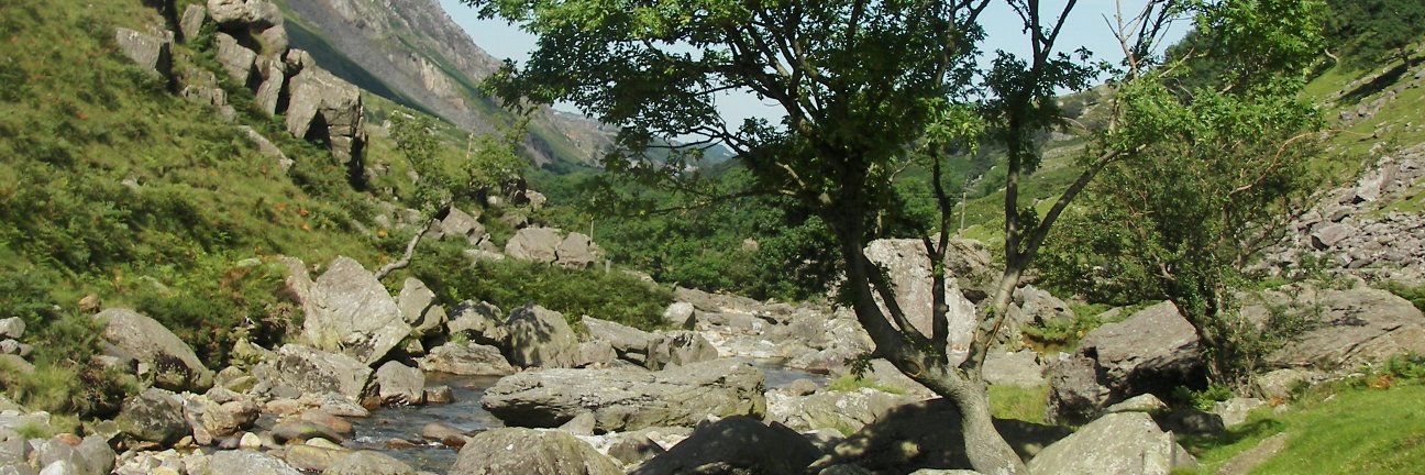 Ian_Pratt1's profile banner image