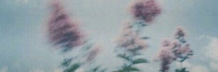 __shoug8's profile banner image