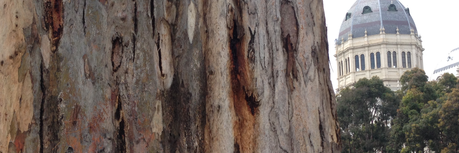 Lesley Head @lesleyhead@aus.social banner