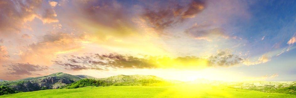 danecolife's profile banner image