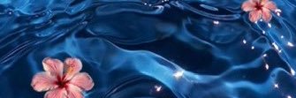 Alaninelove's profile banner image
