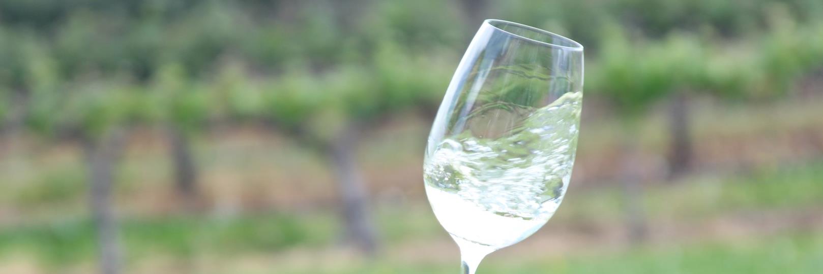 Omar Denaro 🍷 banner