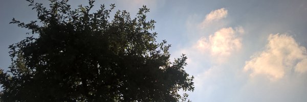wouterdemonie Profile Banner