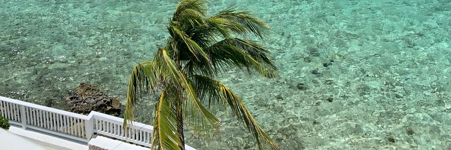 CamishaSneed's profile banner image